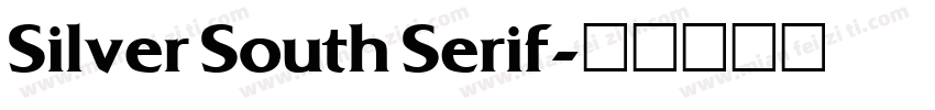 Silver South Serif字体转换
